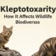 Kleptotoxicity: How It Affects Wildlife and Biodiversity