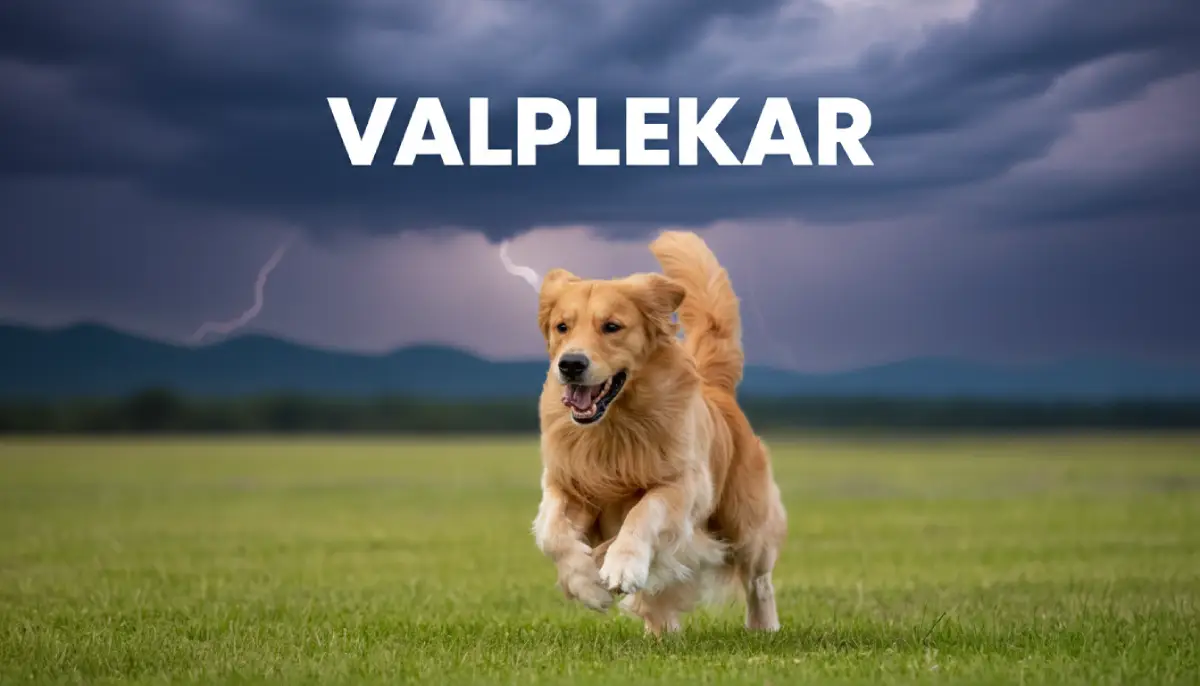 Valplekar: Origins, Significance, and Modern Applications